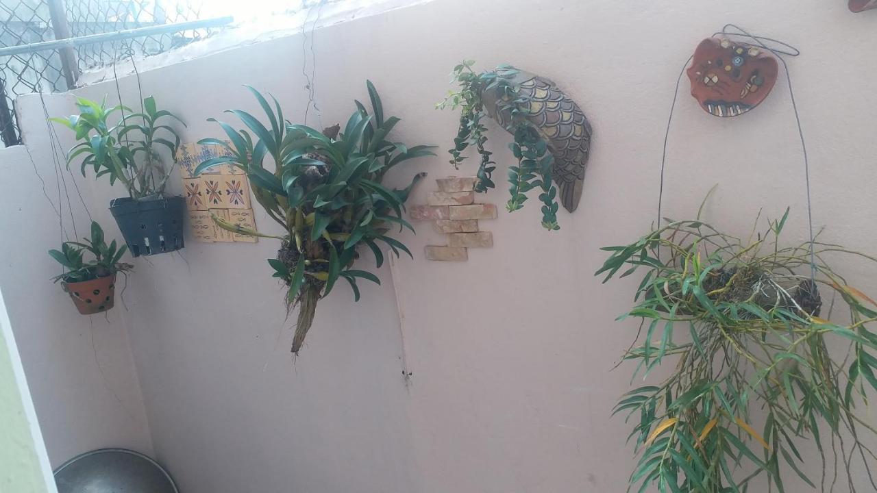 Kota'S House Homestay Хуе Стая снимка